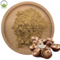 High Quality Reishi Shiitake Mushroom Mycelium Extract